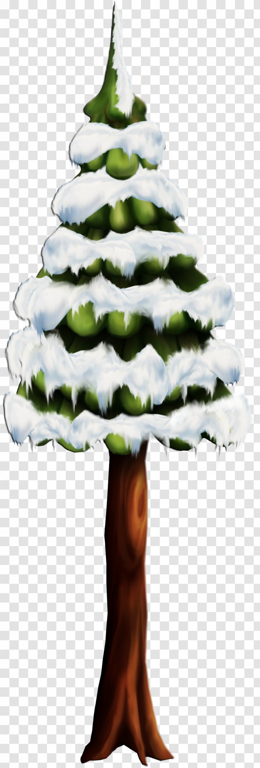 Christmas Tree Fir Pine Cedar - Decor Transparent PNG