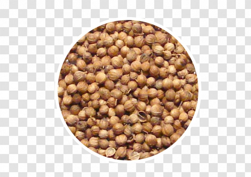 Coriander Seed Allspice Herb - Food Transparent PNG