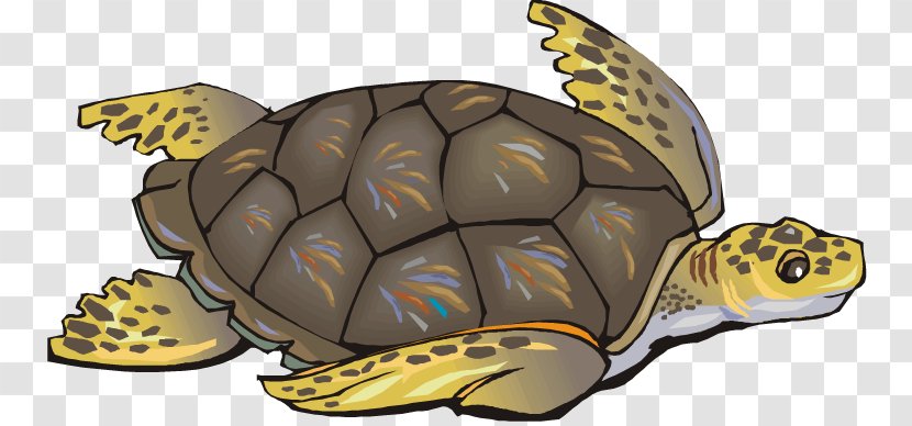 Green Sea Turtle Reptile Clip Art - Terrestrial Animal - Cliparts Transparent PNG