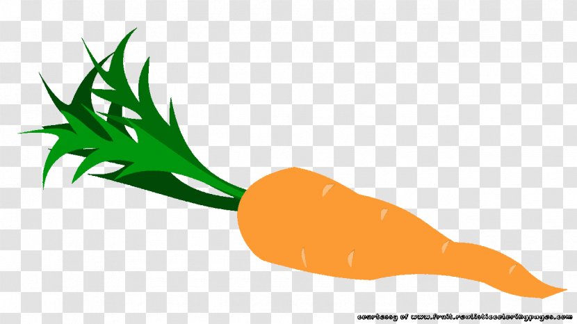 Carrot Vegetable Fruit Royalty-free Clip Art - Orange Transparent PNG