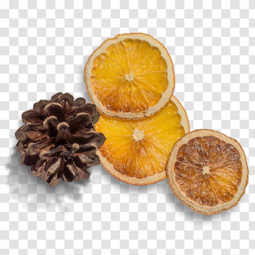 Orange Download - Ingredient - Echinacea Lemon Transparent PNG