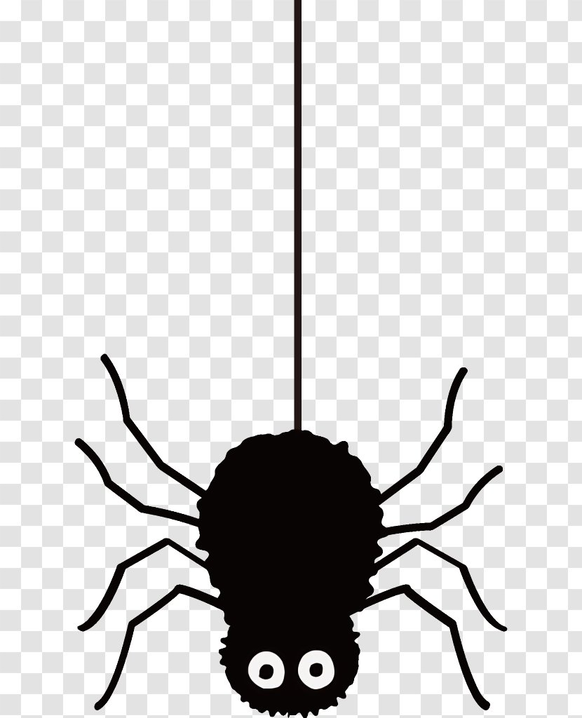 Spider Halloween - Head - Pest Transparent PNG