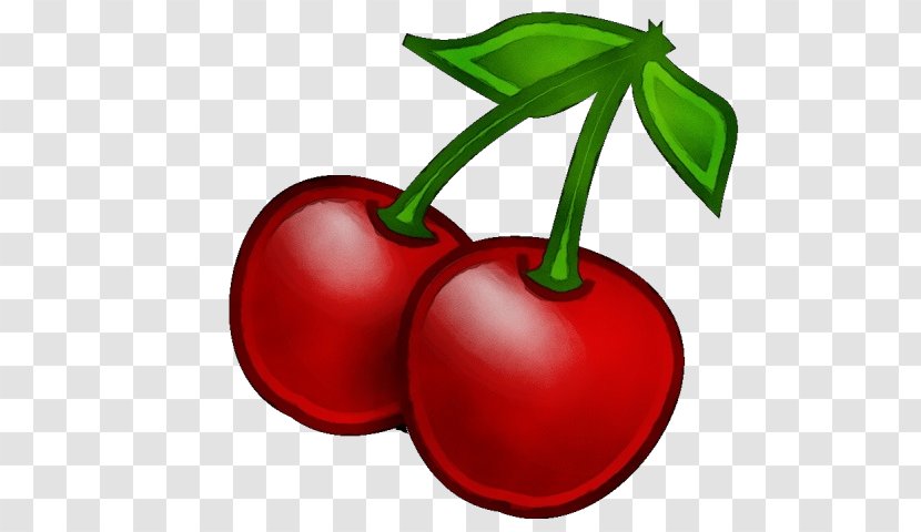 Plant Fruit Cherry Natural Foods Red - Food - Flower Tree Transparent PNG