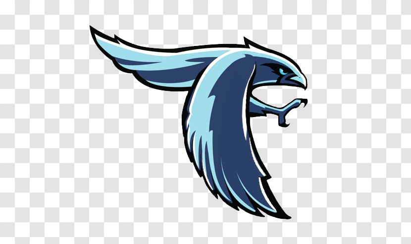 Perry Meridian High School Roncalli Atlanta Falcons Middle Sixth Grade Academy - Boasting Background Transparent PNG