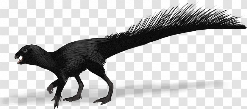 Heterodontosaurus Evolution Canidae History Future - Ornithischian Dinosaurs - Poposaurus Transparent PNG
