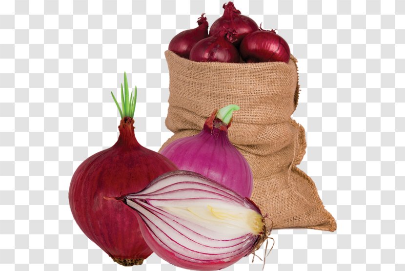 Red Onion Shallot Vegetable Food Garlic - Local - Onions Transparent PNG