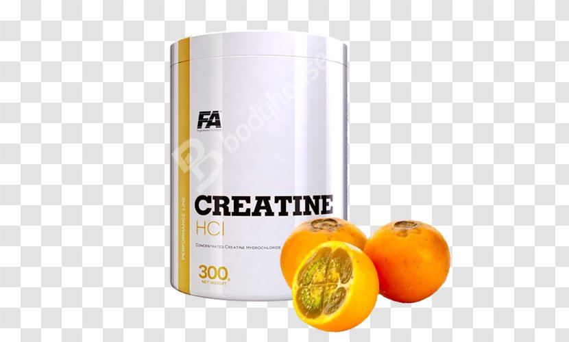 Dietary Supplement Creatine Bodybuilding Malic Acid Vitamin B-6 - Lulo Transparent PNG