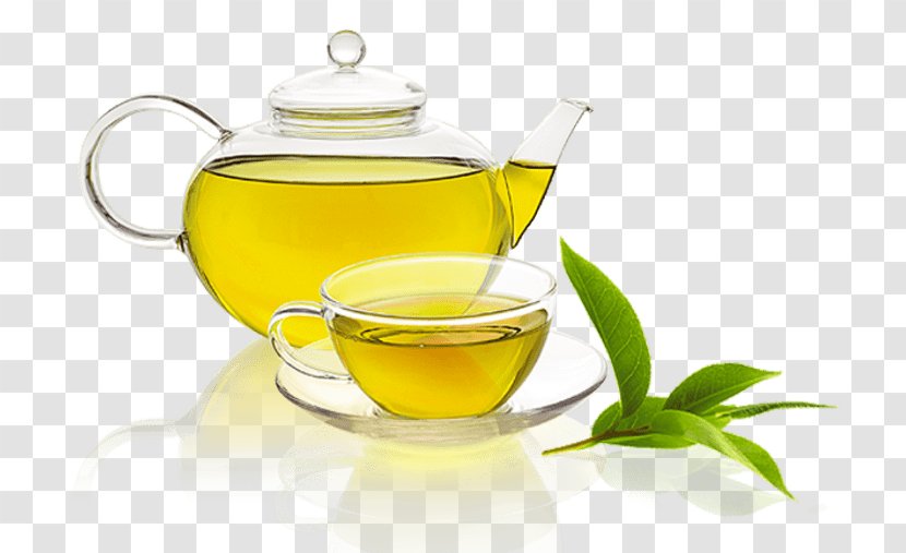 Green Tea Fizzy Drinks Food - Salad Transparent PNG