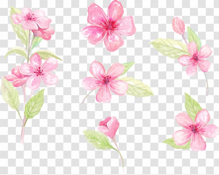 Paper Floral Design Flower Clip Art - Vector Hand-painted Flowers Transparent PNG