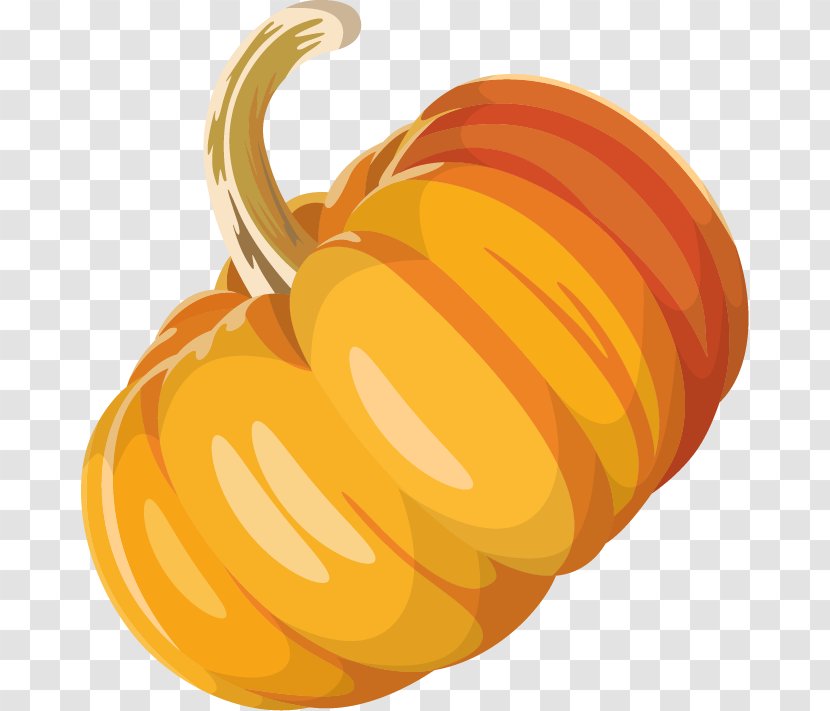 Pumpkin Calabaza Winter Squash - Vector Material Transparent PNG