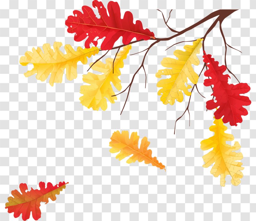 Yellow Leaf Plant Tree Clip Art - Flower Transparent PNG