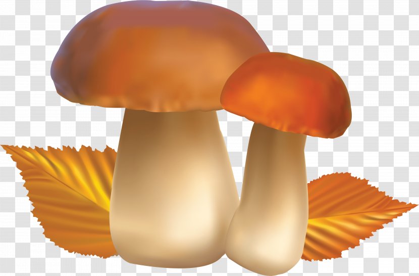 Mushroom Clip Art - Diet - Image Transparent PNG
