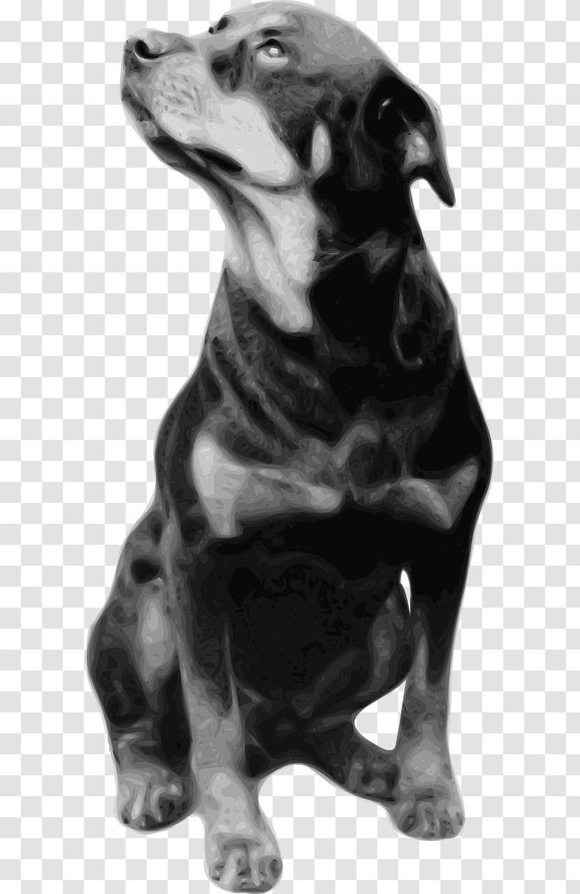 Rottweiler T-shirt Breed Clip Art - Puppy Transparent PNG