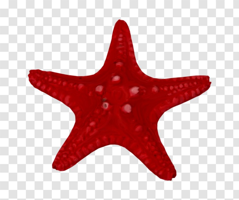 Clip Art - Flash Video - Red Star Transparent PNG