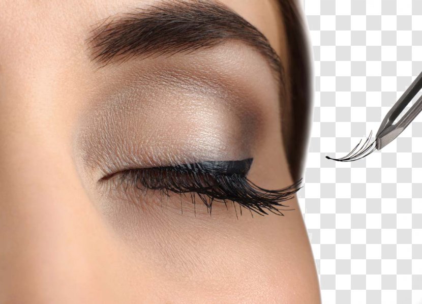 Eyelash Extensions Artificial Hair Integrations Cosmetics Hairstyle - Eye - Long Eyelashes Woman Transparent PNG