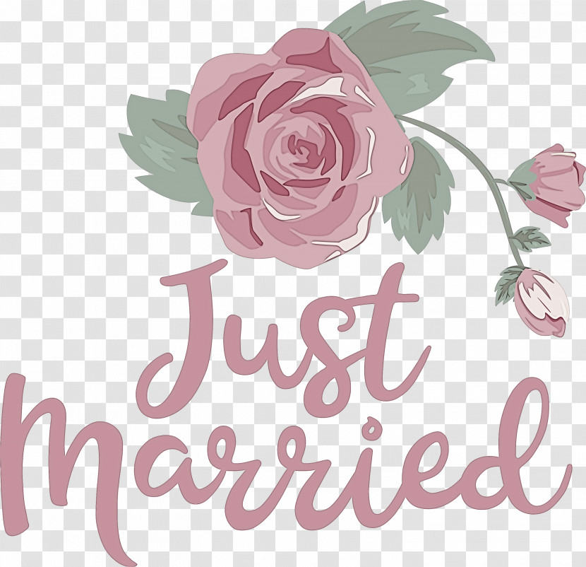 Just Married Wedding Transparent PNG