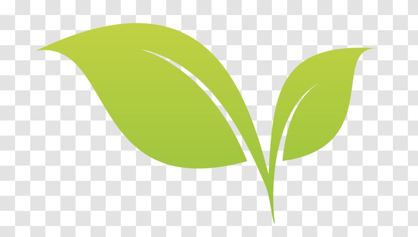 Leaf Desktop Wallpaper Plant Stem Tree Transparent PNG