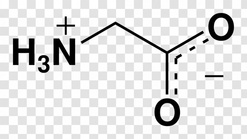 Glycine Receptor Zwitterion Amino Acid NMDA Transparent PNG