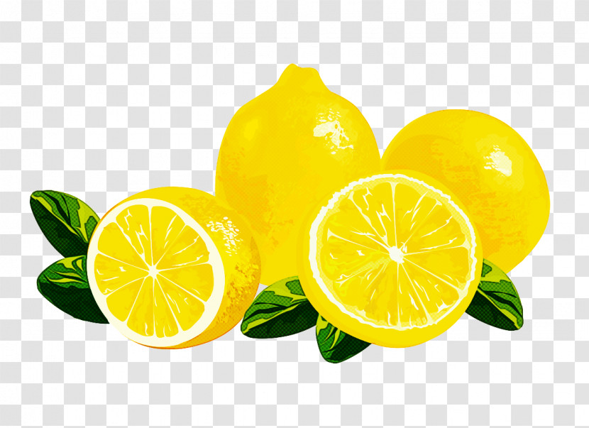 Lemon Citrus Lime Lemon-lime Persian Lime Transparent PNG