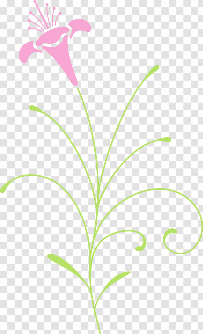 Leaf Flower Plant Plant Stem Pedicel Transparent PNG