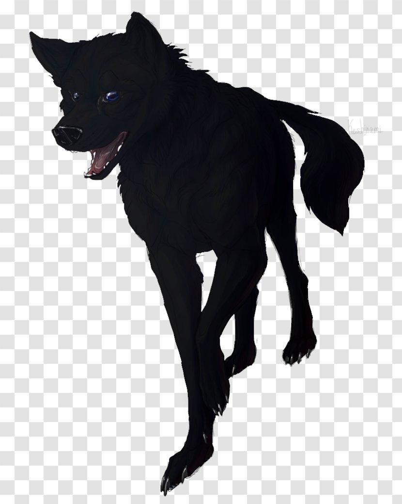 Schipperke Dog Breed Snout Fur - Group - Strongman This Present Darkness Transparent PNG