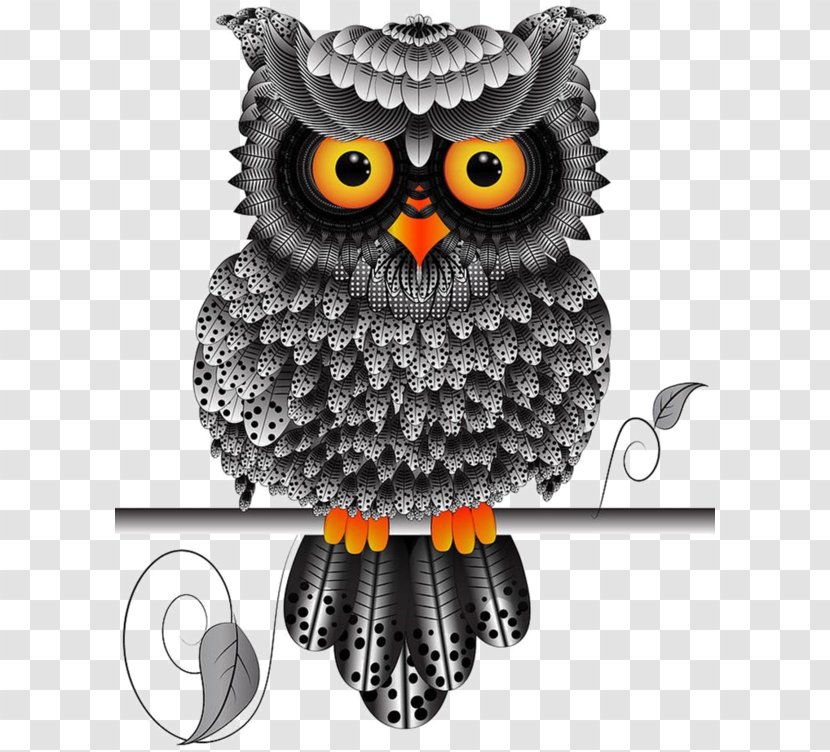 Bird Northern White-faced Owl Illustration Southern Image Transparent PNG