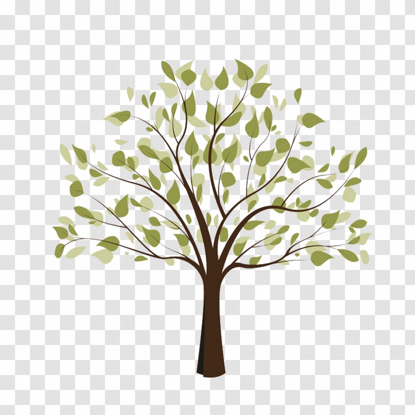 Tree Of Life Free Content Clip Art - Plant - Cartoon Trees Transparent PNG