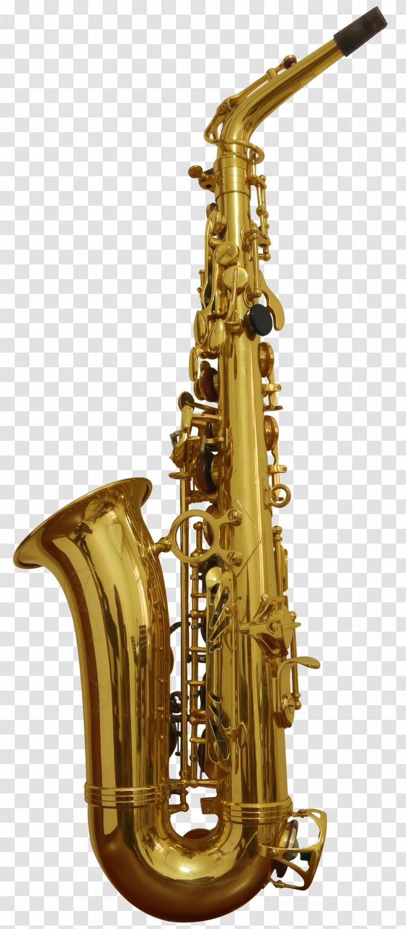 Baritone Saxophone Musical Instruments Woodwind Instrument Brass - Flower Transparent PNG