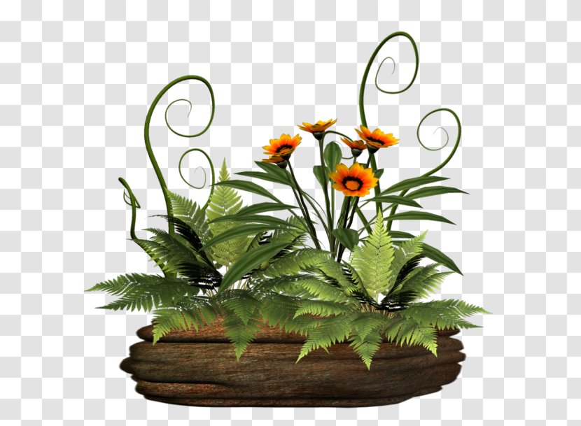 Image Download Plants GIF - Flower Arranging - Liveinternet Transparent PNG