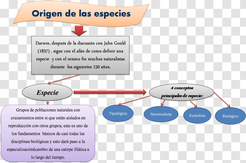 On The Origin Of Species Biology Natural Selection Darwinism - Text - Charles Darwin Transparent PNG