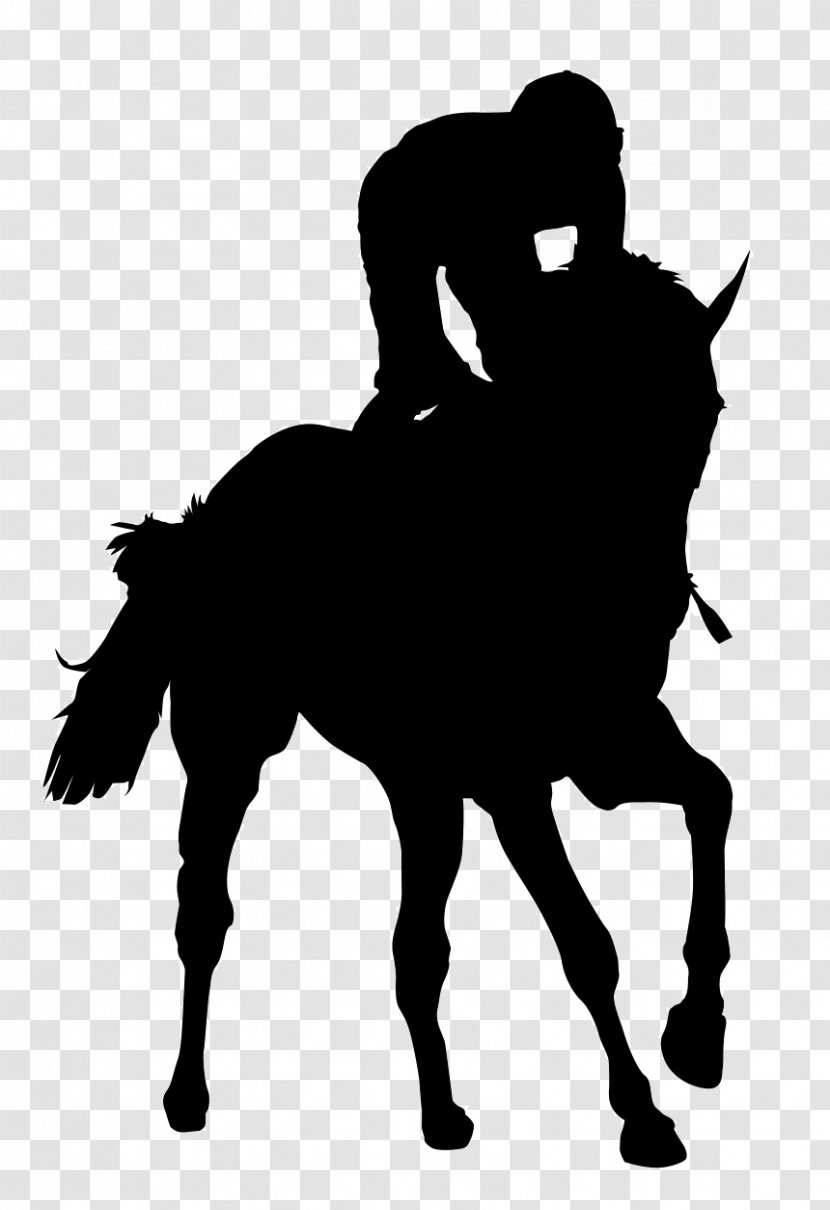 Icelandic Horse Friesian Foal Clip Art - Photography - Silhouette Transparent PNG