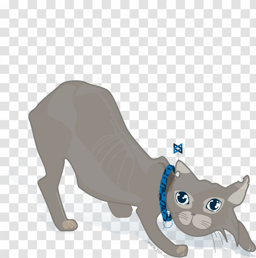 Whiskers Cat Dog Tail JavaScript Framework - Javascript - Backbone Transparent PNG