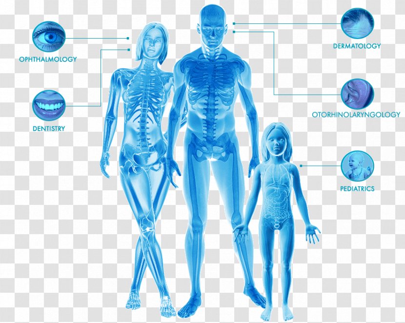Shoulder Homo Sapiens Human Behavior Hip Arm - Tree - Medical Apparatus And Instruments Transparent PNG