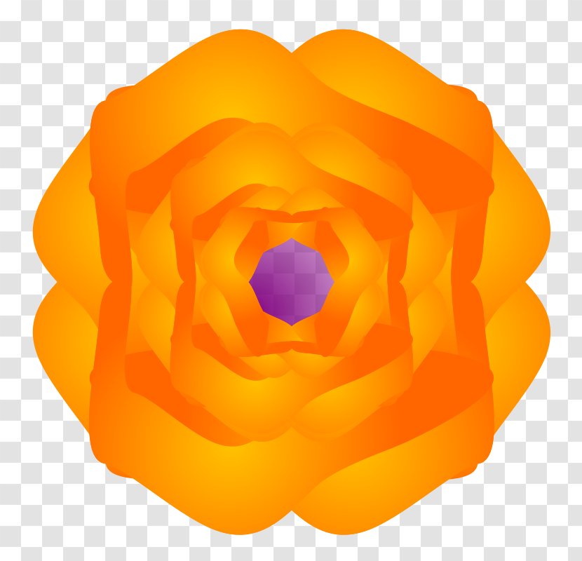 Rosaceae Rose Flower Petal Yellow - Orange Transparent PNG