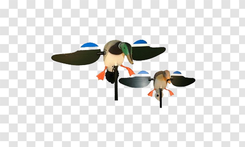 Mallard Duck Decoy Hunting Transparent PNG