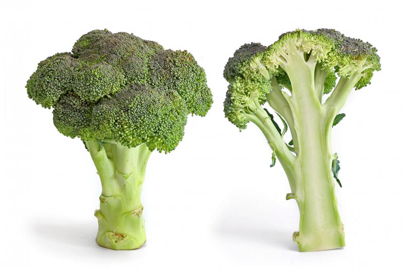 Broccoli Slaw Cabbage Italian Cuisine Vegetable - Sulforaphane Transparent PNG