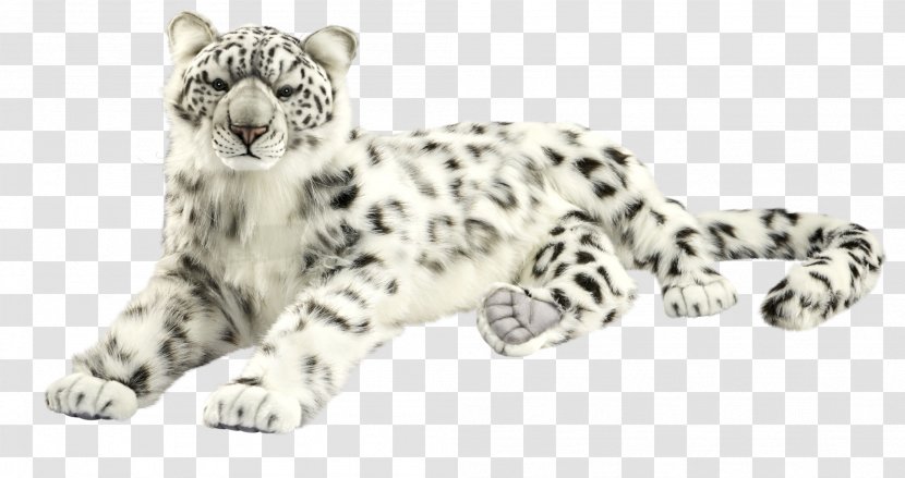 Snow Leopard Whiskers Snout White Transparent PNG