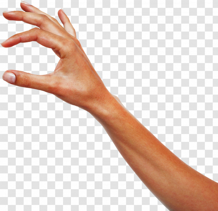 Finger Hand Arm Skin Joint Transparent PNG