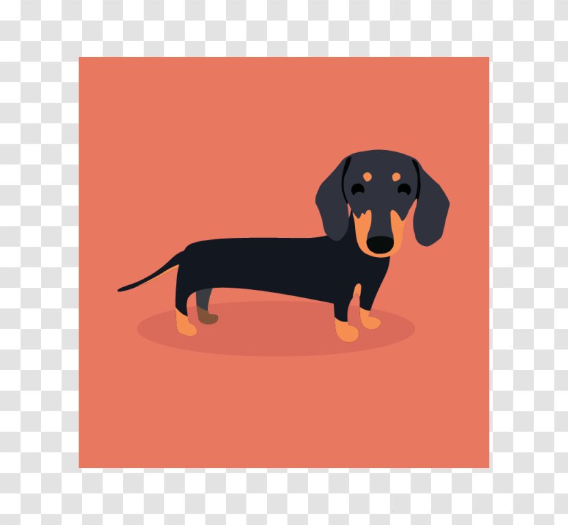Dachshund Puppy Dog Breed T-shirt Sausage Transparent PNG