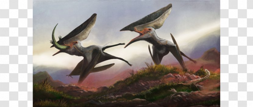 Thalassodromeus Tapejara Banguela Oberlii Lonchodectes Pterodactyls - Dinosaur Transparent PNG