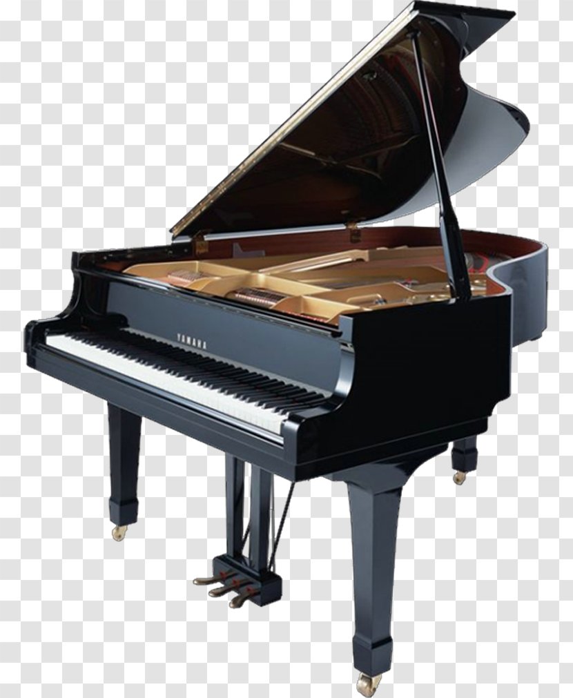 Nampa Grand Piano Musical Instrument Keyboard - Tree Transparent PNG