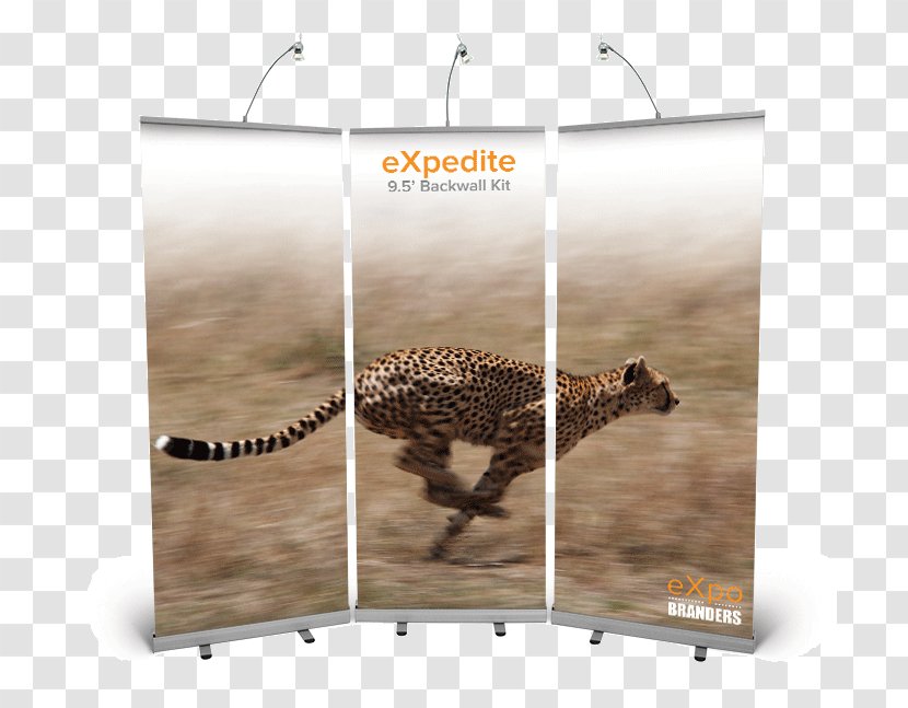 Cheetah Leopard Jaguar Cat Cougar Transparent PNG