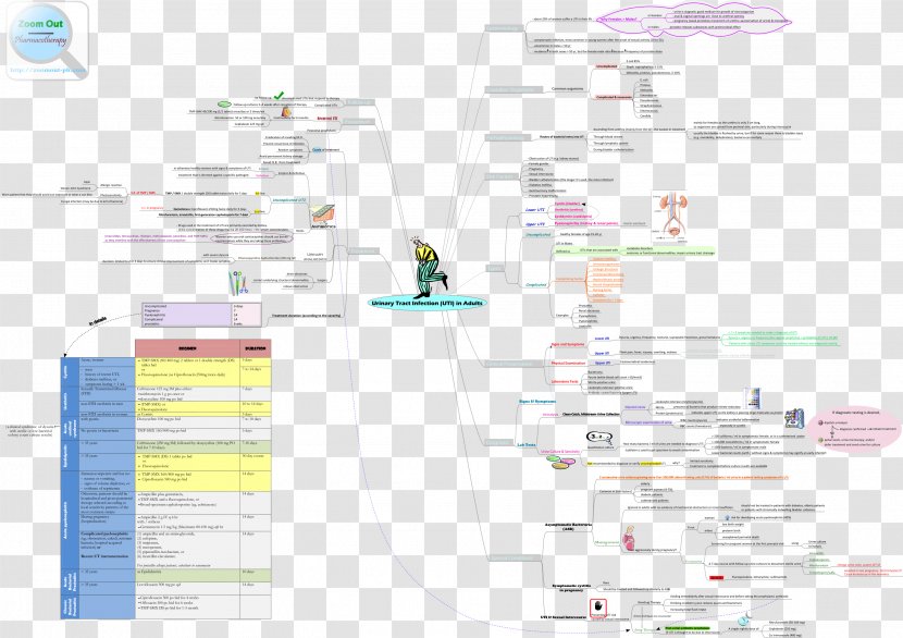 Urinary Tract Infection Disease Upper Respiratory Excretory System - Urine - Diagnosis And Treatment Transparent PNG