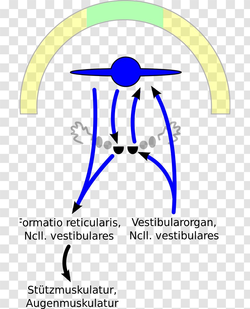 Human Behavior Organization Point Clip Art - Artwork - Registered Nurse Transparent PNG