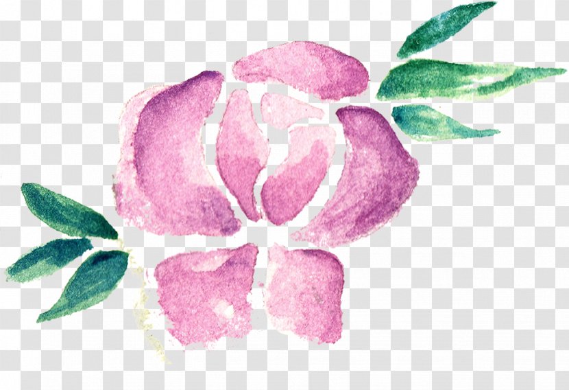 Rose Family Pink M Petal Leaf - Plant Transparent PNG