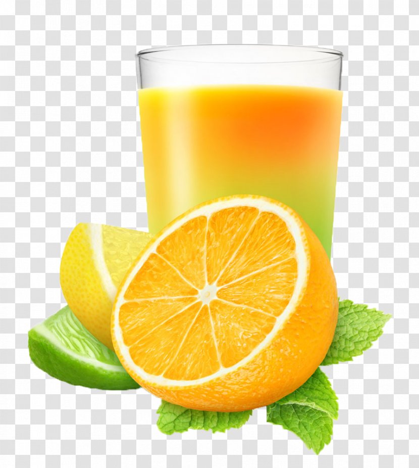 Juice Lemon Grapefruit Lime Orange - Citrus - Fresh Transparent PNG