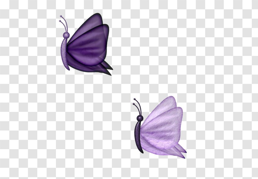 Butterfly Purple Moth Clip Art - Violet Transparent PNG