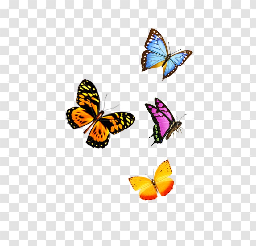 IPhone 6S SE Butterfly - Iphone Transparent PNG