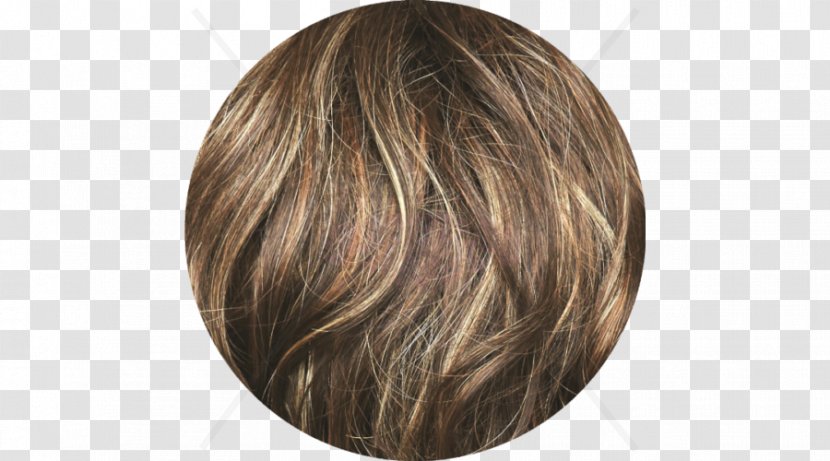 Brown Hair Blond Coloring - Human Color Transparent PNG