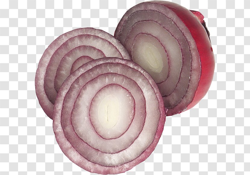 Red Onion Garlic Clip Art Transparent PNG
